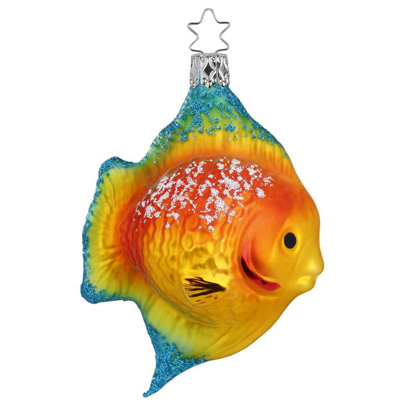 Inge Glas Angel Fish Yellow - - SBKGifts.com