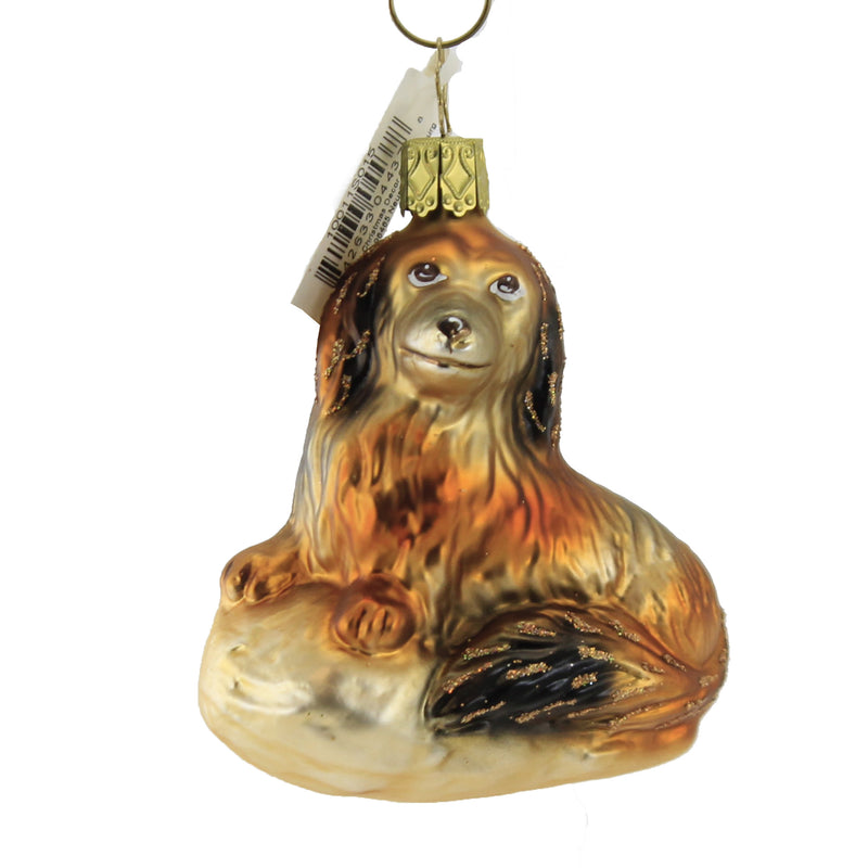 Inge Glas Dashsi Glass Ornament Long-Haired Dachshund 10011S015 (50841)