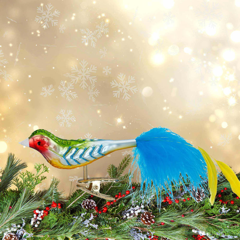 Inge Glas Rainbow Finch Ornament - - SBKGifts.com