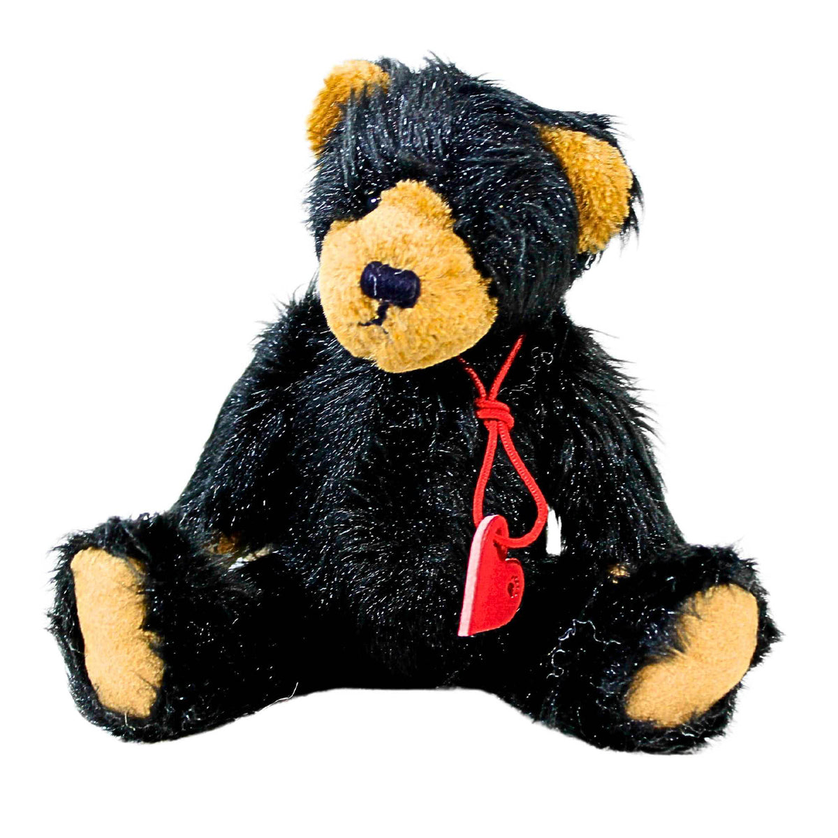 (5113) Edgar B Bear