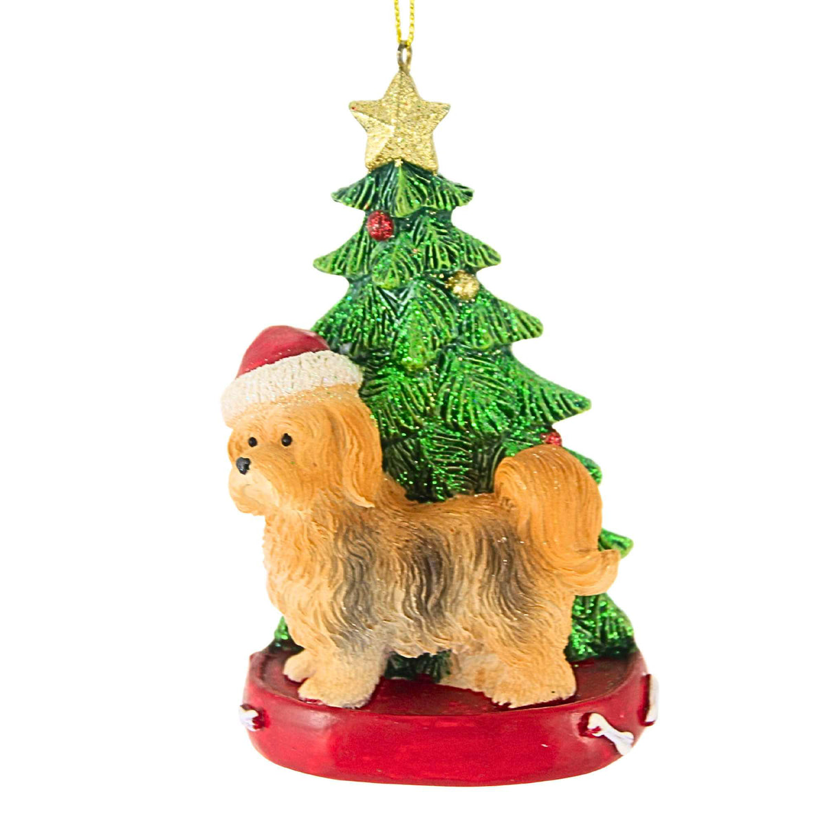 HAVANESE