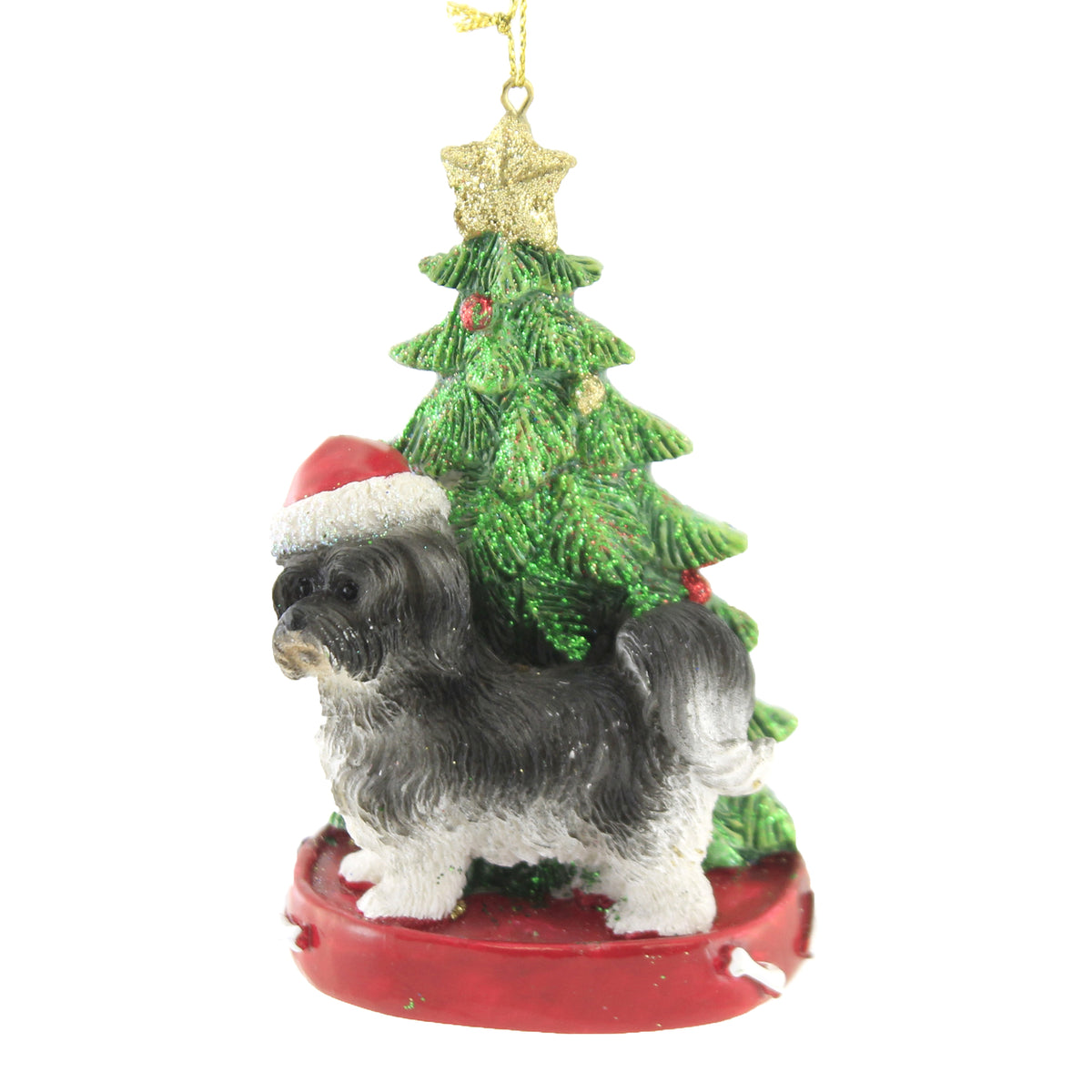 Blk Havanese