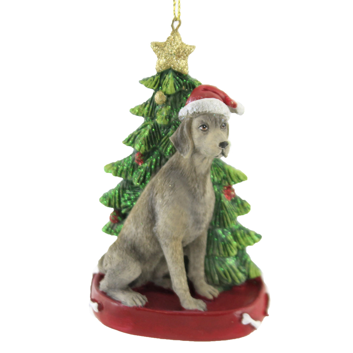 Weimaraner