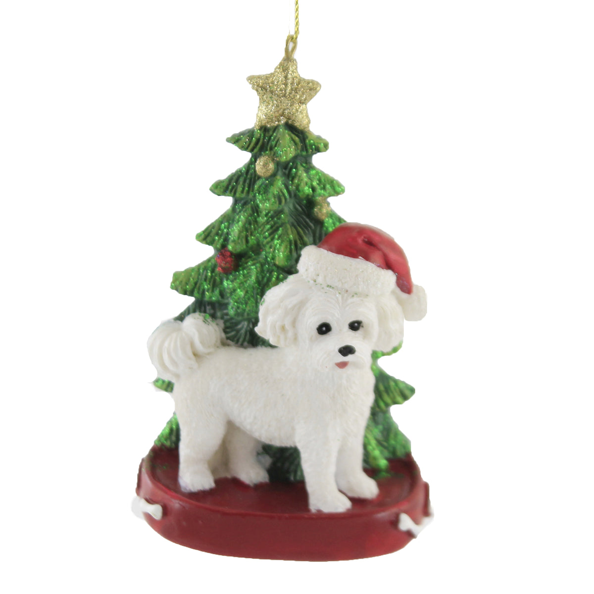 White Maltese