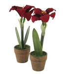 Christmas Red Potted Amythis 2/Pc Plastic Decor Artificial Flower Faux 54681Rd (51256)