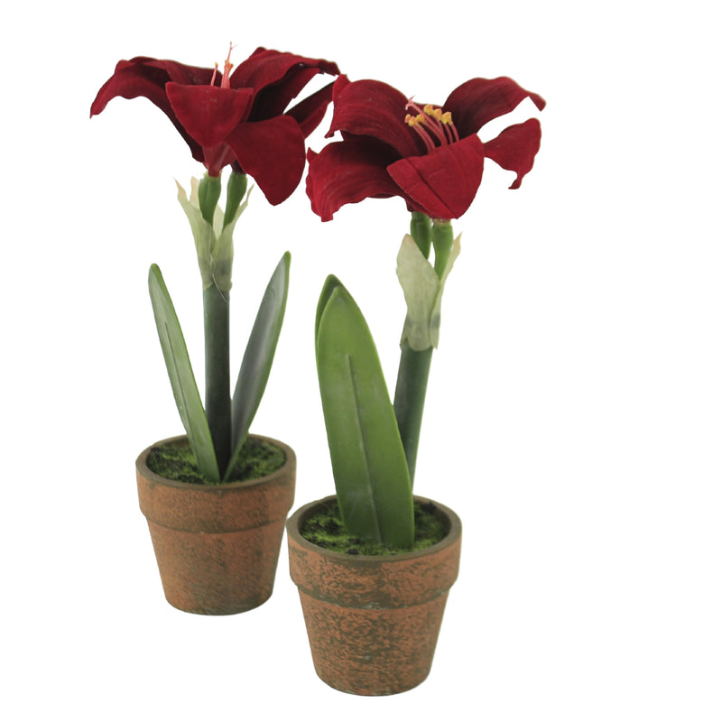 Christmas Red Potted Amythis 2/Pc Plastic Decor Artificial Flower Faux 54681Rd (51256)