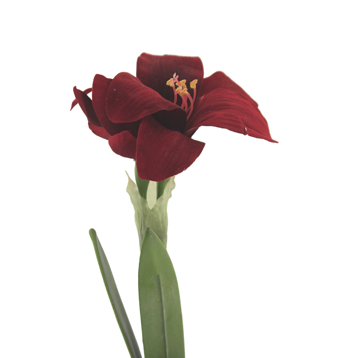 Christmas Red Potted Amythis 2/Pc - - SBKGifts.com