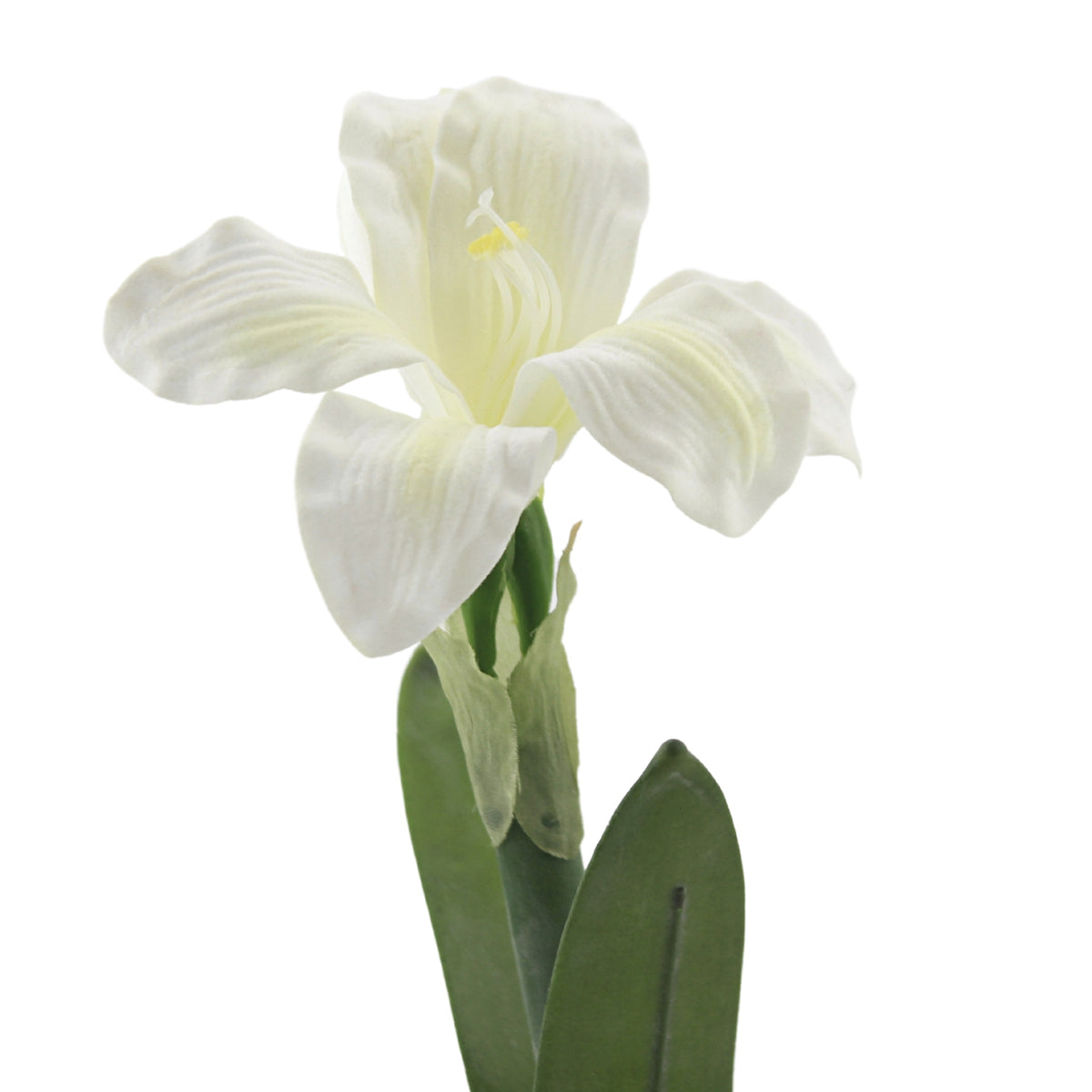 Christmas White Potted Amythis 2/Pc - - SBKGifts.com