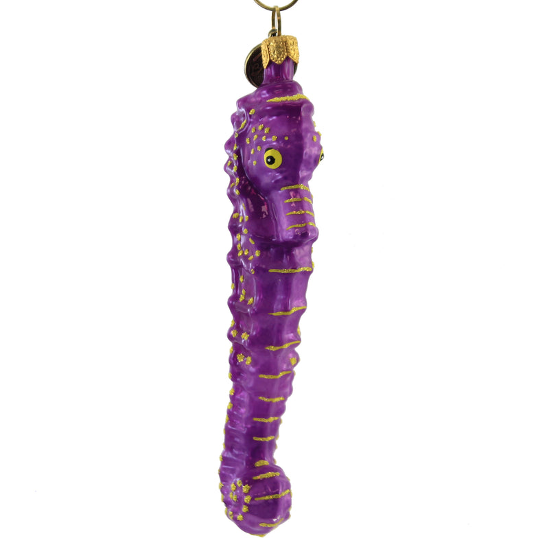 Blu Bom Purple Seahorse Glass Sea Christmas Ornament Ocean 110143