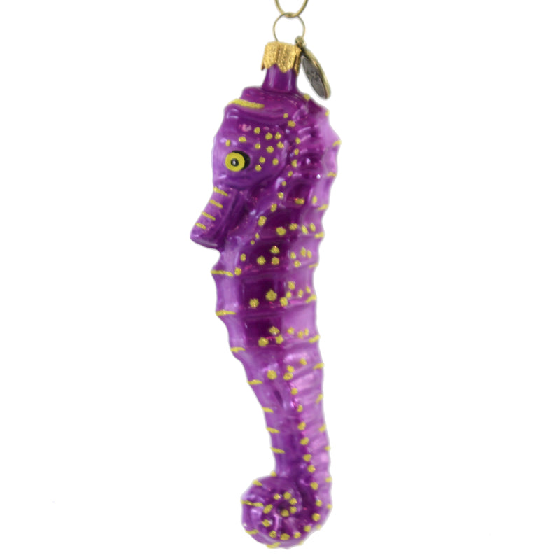 Blu Bom Purple Seahorse - - SBKGifts.com