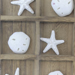 Home Shell Tic Tac Toe - - SBKGifts.com