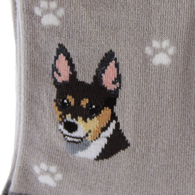 Novelty Socks Rat Terrier Socks - - SBKGifts.com