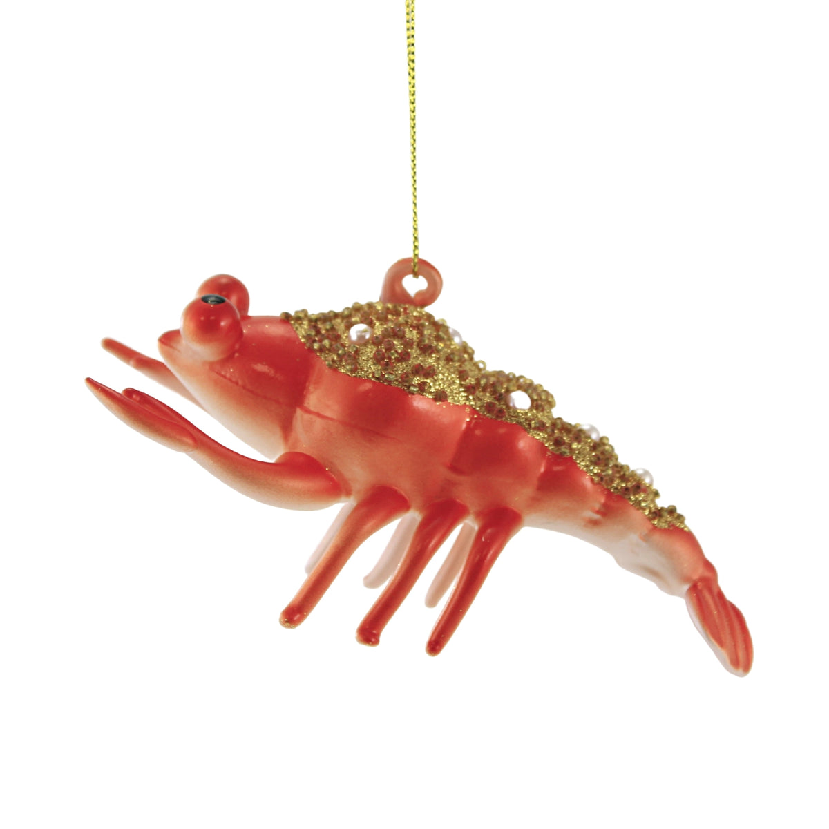 (51946) Pacific Gold Lobster