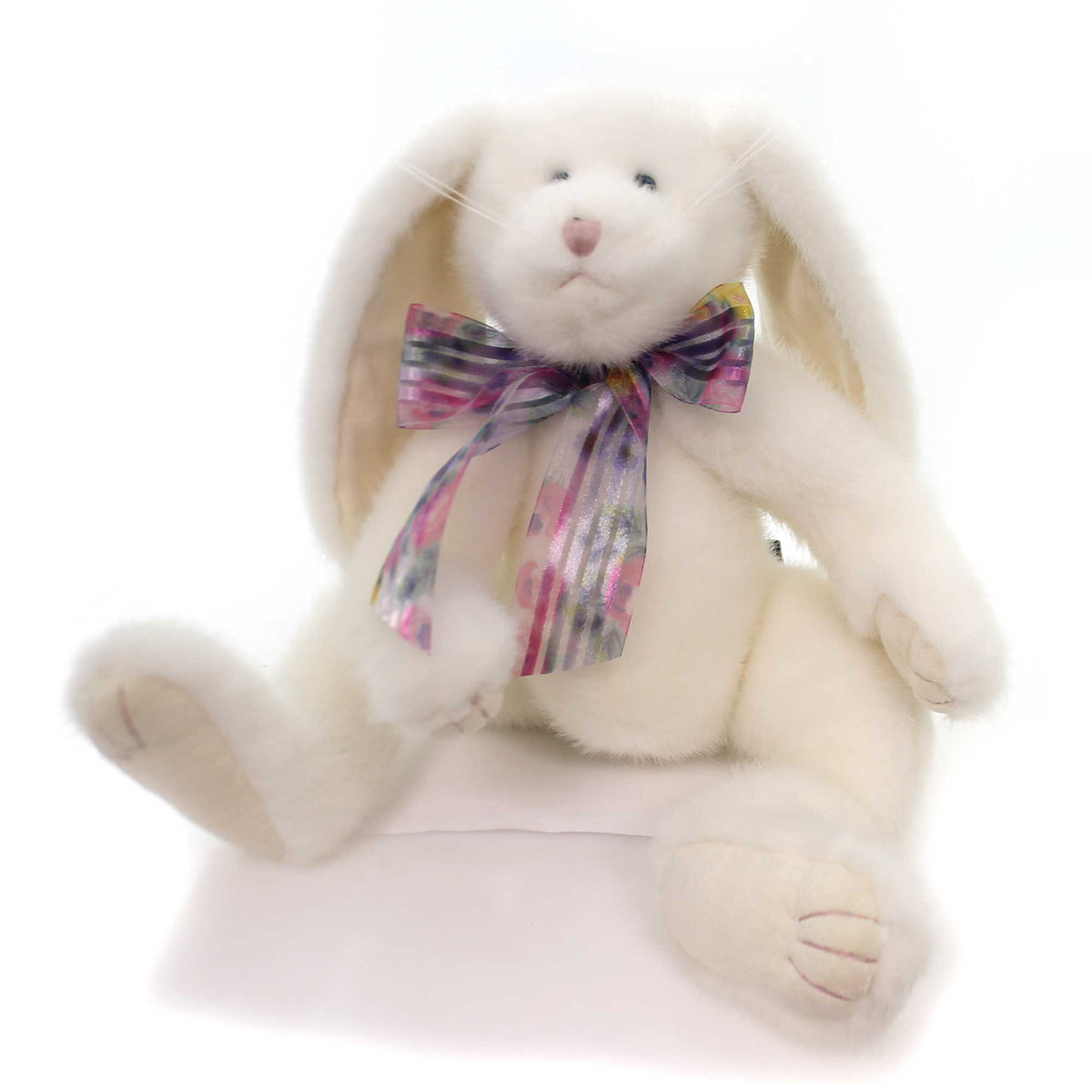 (5328) Cassie B Nibbles
