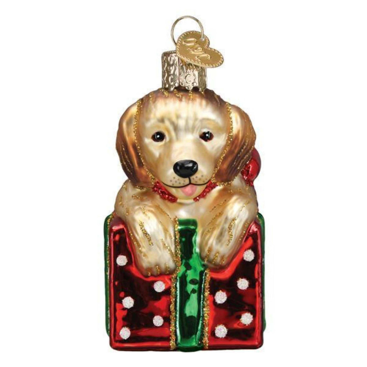 (53536) Golden Puppy Surprise