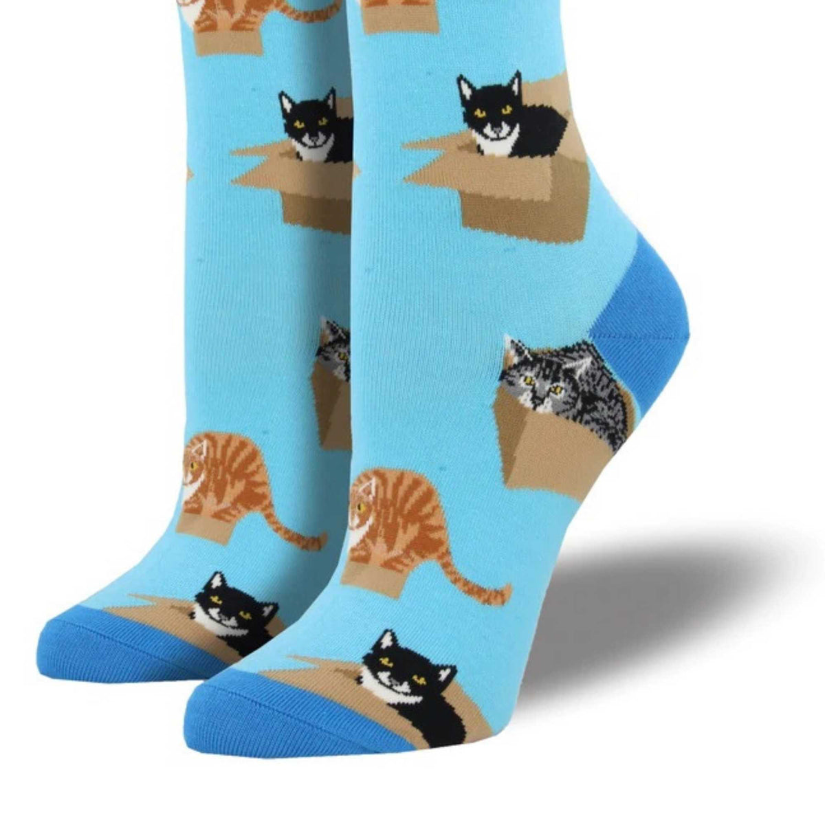 Novelty Socks Cat In A Box - - SBKGifts.com