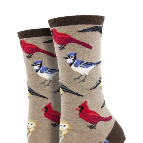 Novelty Socks Bird Is The Word - - SBKGifts.com