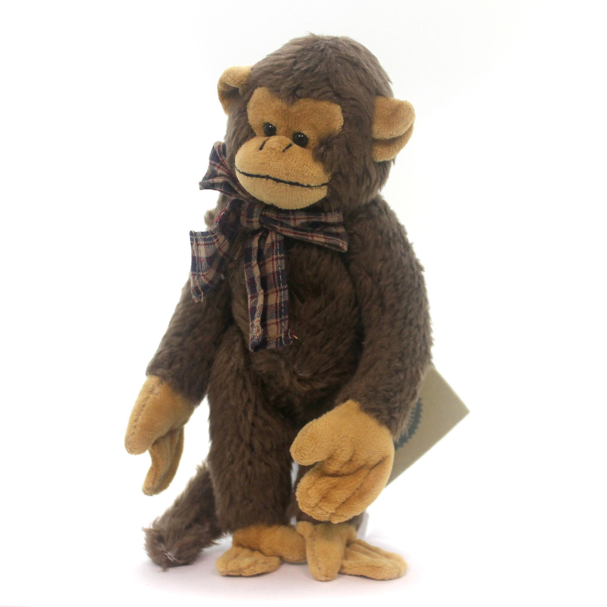 (5552) Darwin Monkbury