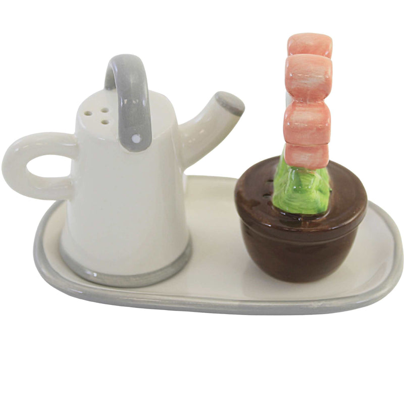 Transpac Watering Can/Flower Pot S&P - - SBKGifts.com