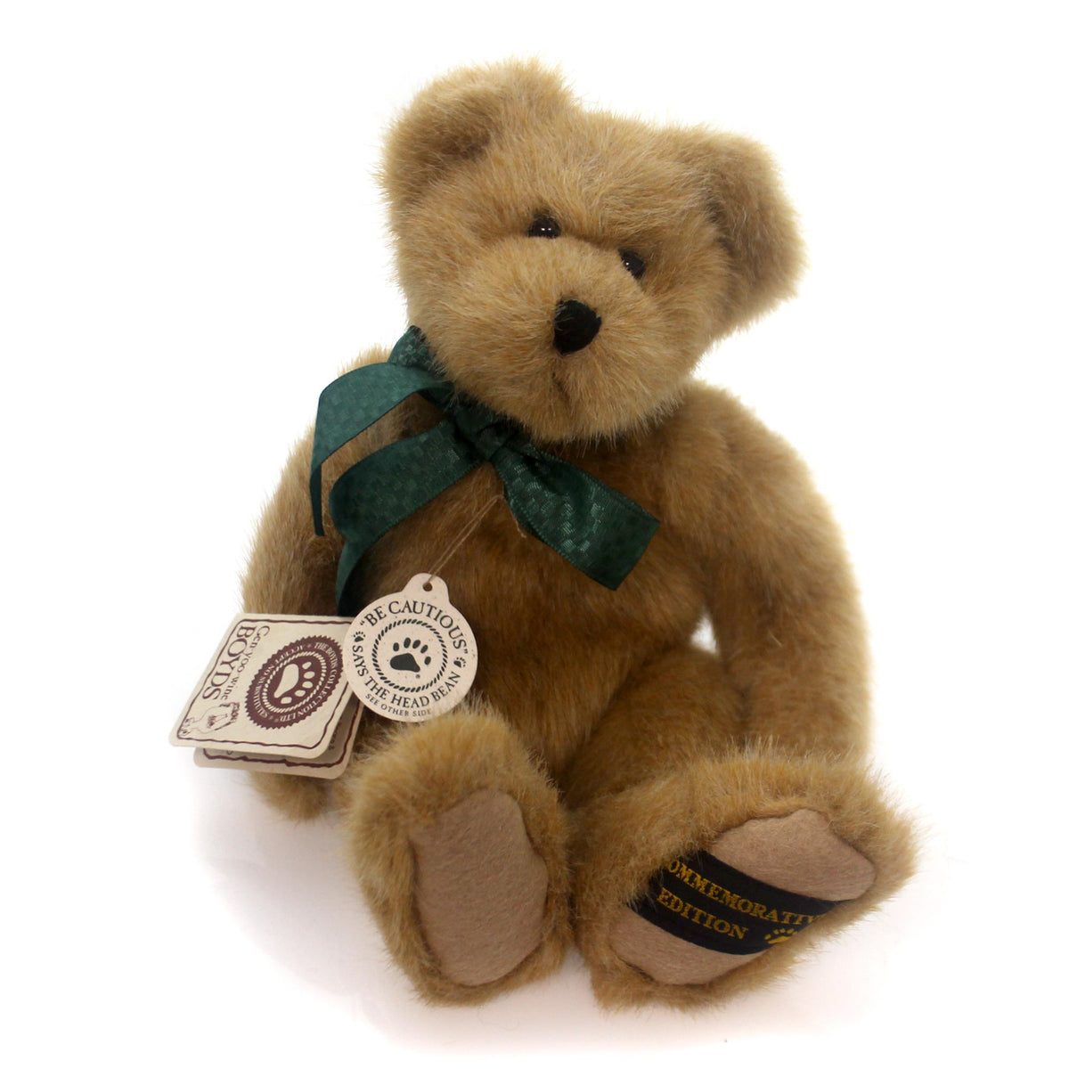 (5614) F E B B (First Ever Bean Bear)
