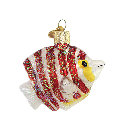 Old World Christmas Peppermint Angelfish - - SBKGifts.com