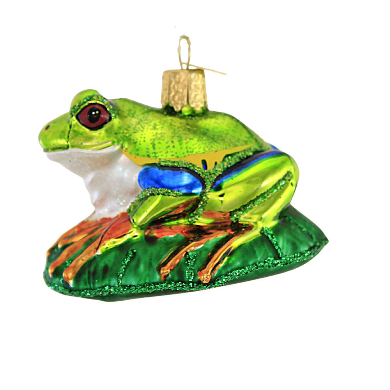 Old World Christmas Red-Eyed Tree Frog Glass Superpower Of Nature 12632.. (56217)