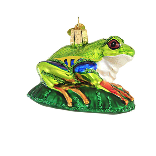 Old World Christmas Red-Eyed Tree Frog - - SBKGifts.com