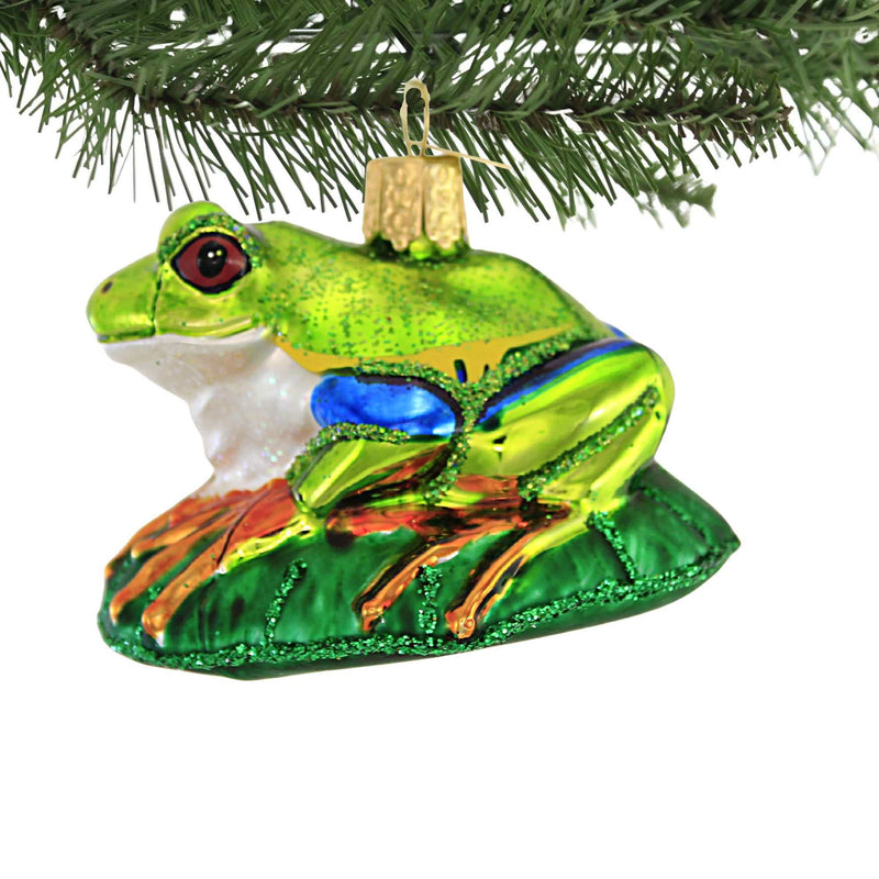 Old World Christmas Red-Eyed Tree Frog - - SBKGifts.com