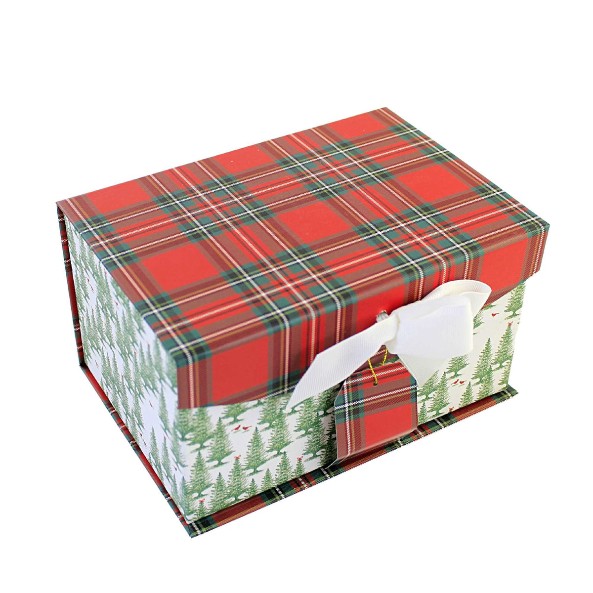 (56507) Sm Magnetic Closure Box.