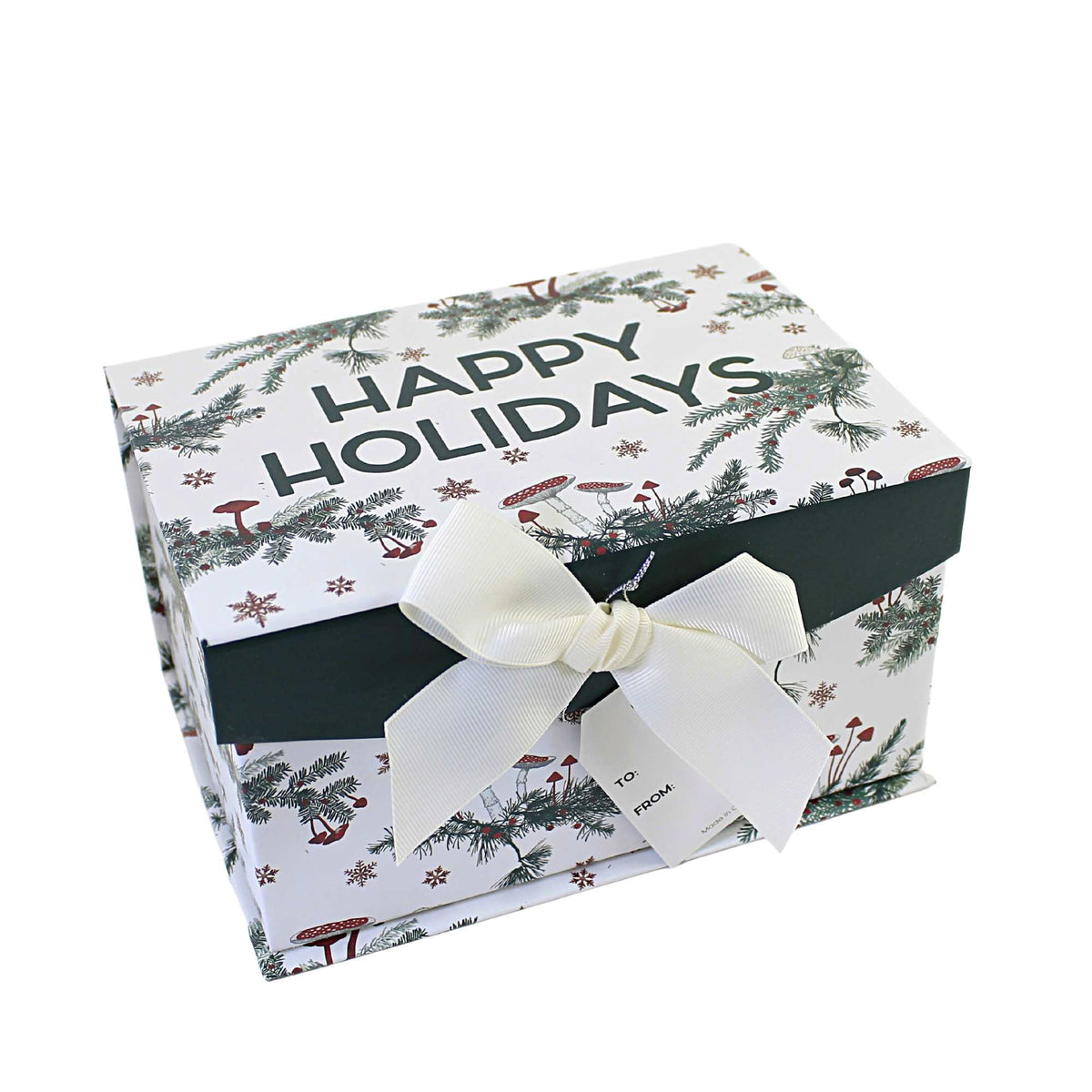 (56508) Sm Magnetic Closure Box..