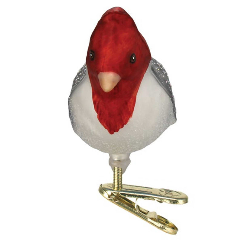 Old World Christmas Red-Crested Cardinal - - SBKGifts.com