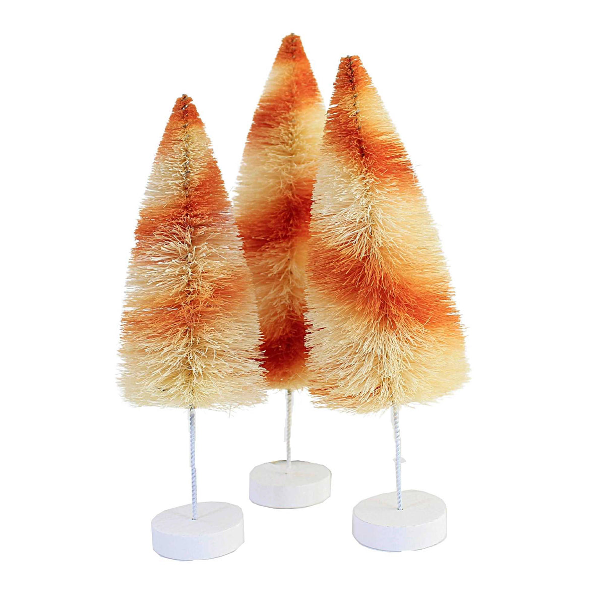 (56792) Orange Stripes Delight Trees