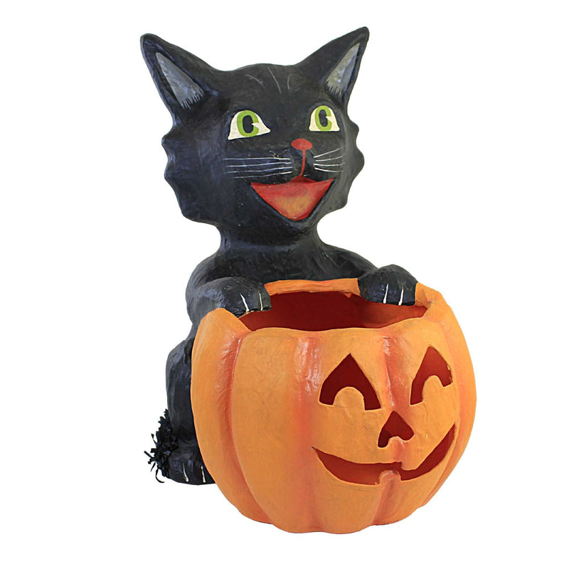 Halloween Cat's Got Your Pumpkin Paper Jack-O-Lantern Tj0190 (56834)