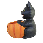 Halloween Cat's Got Your Pumpkin - - SBKGifts.com