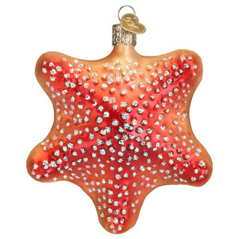 Old World Christmas Red Starfish Glass Ornament Beach Ocean Shell 12608 . (56857)