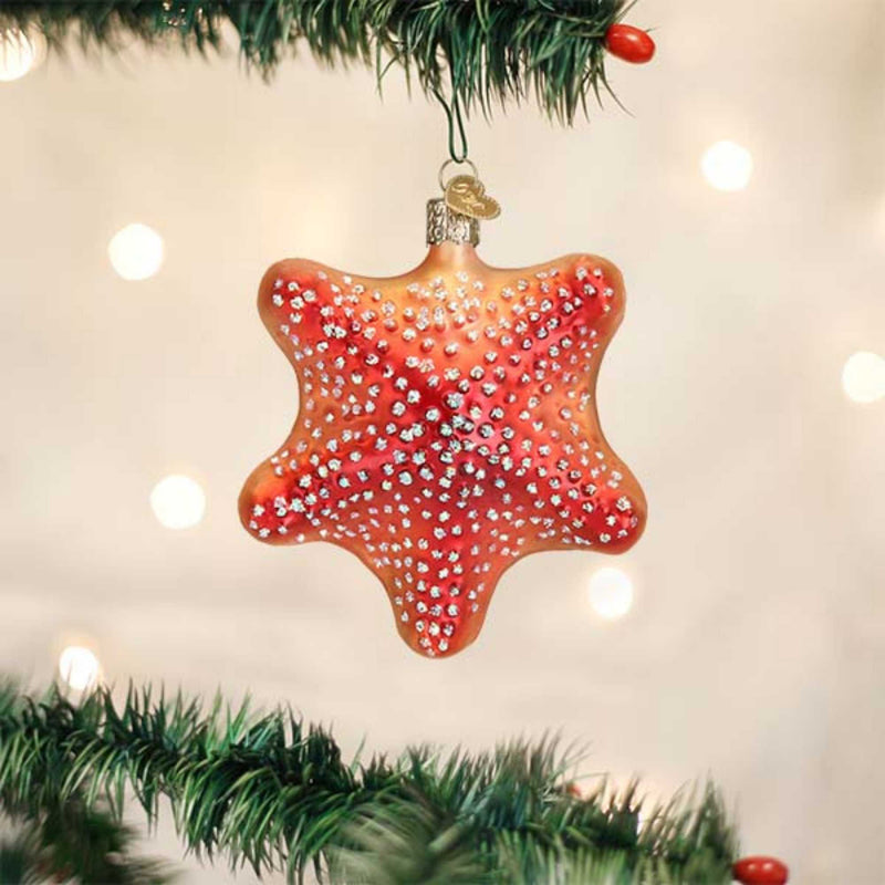 Old World Christmas Red Starfish - - SBKGifts.com