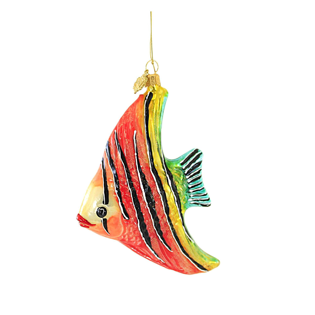 (56950) Coral Striped Angelfish