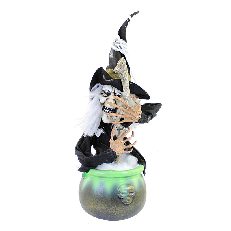 Halloween Witch With Cauldron Plastic Potions Shull Animated Xfgh77349 (57488)