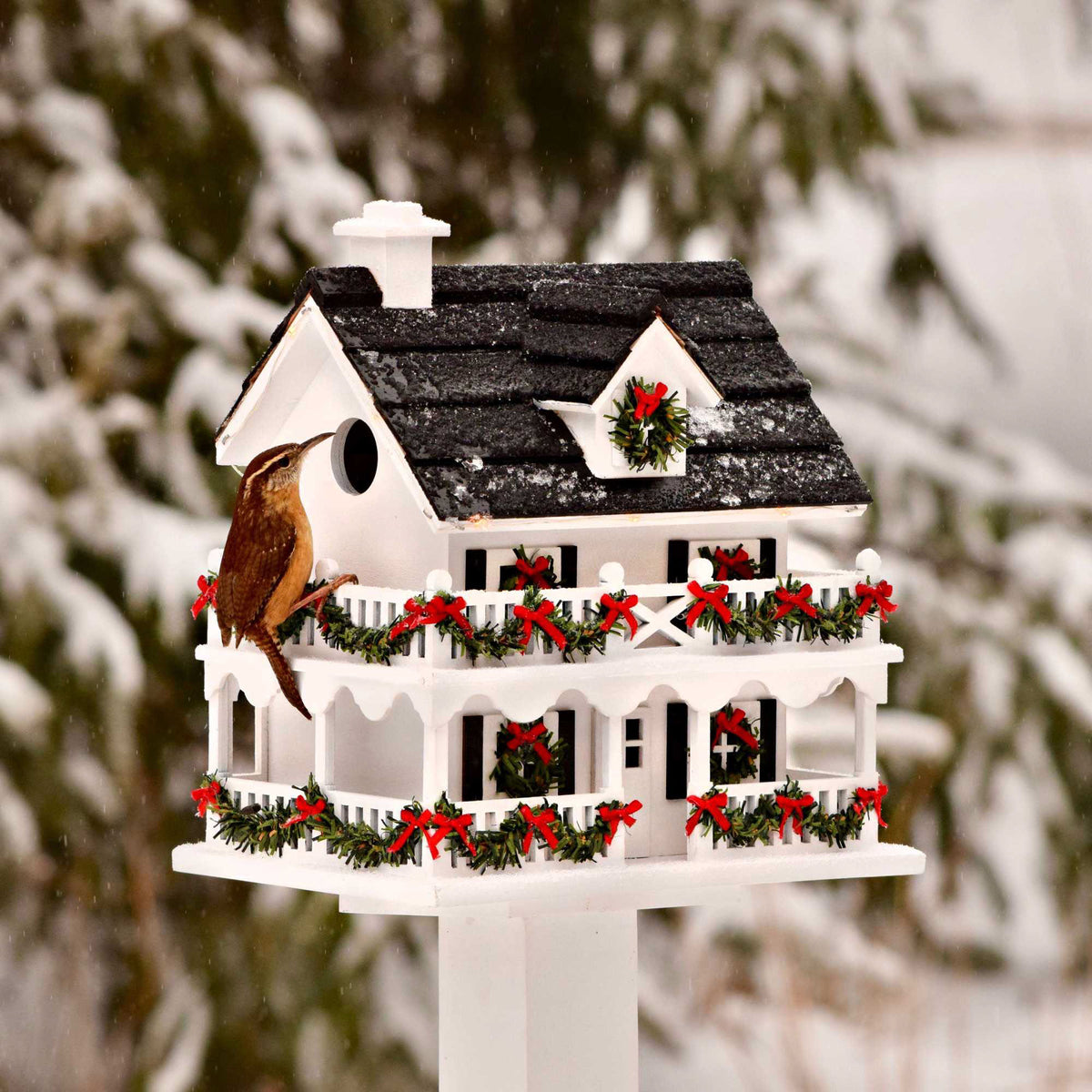 Home & Garden Colonial Cottage Birdhouse - - SBKGifts.com