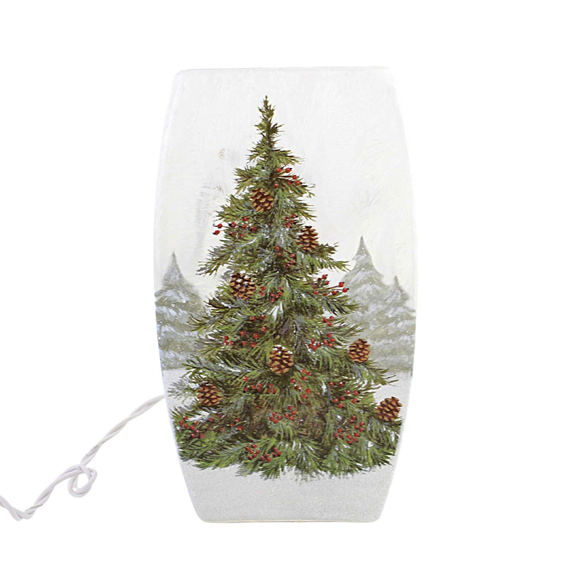 Stony Creek Adorned Evergreen Med Vase Glass Electric Winter Christmas Adg2275 (57913)