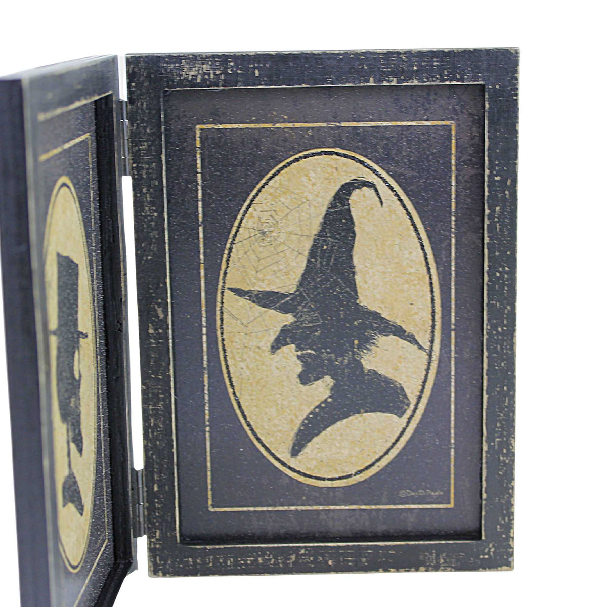 Halloween Witch And Skull Portraits - - SBKGifts.com