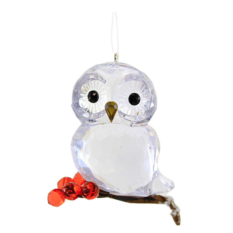 Crystal Expressions Winter Owl Ornament Acrylic Wise Berries Acryx237 (58774)