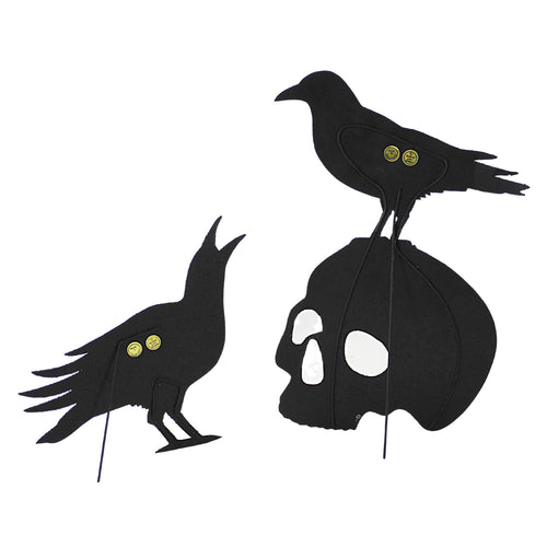 Bethany Lowe Glittered Crow On Skull Set - - SBKGifts.com
