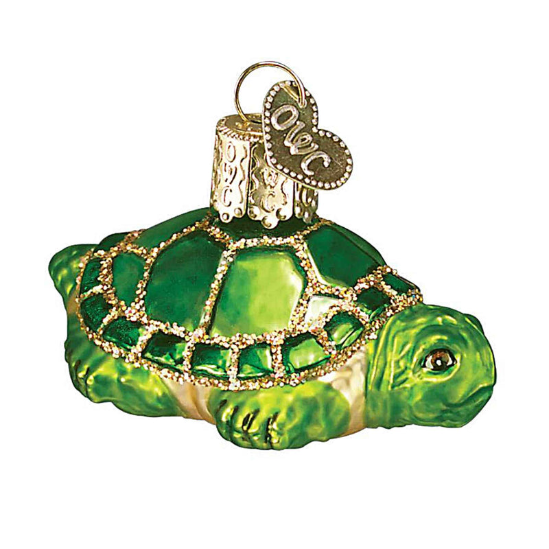 (59255) Small Turtle