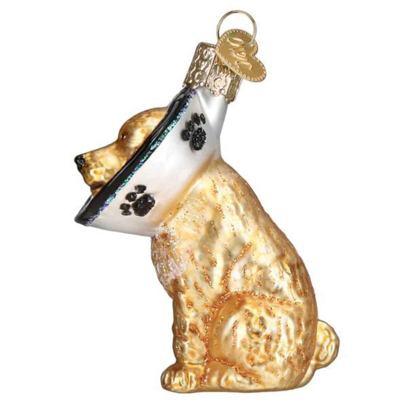 Old World Christmas Cone Of Shame Dog - - SBKGifts.com