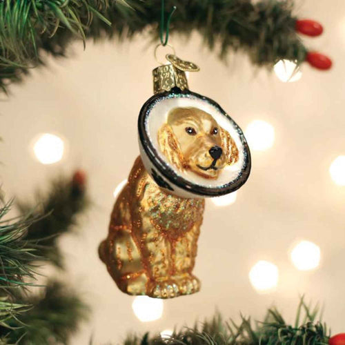 Old World Christmas Cone Of Shame Dog - - SBKGifts.com