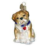 Old World Christmas Bull Pup - One Glass Ornament 5.5 Inch, Glass - Dog Ornament Best Friend 12136 (59321)
