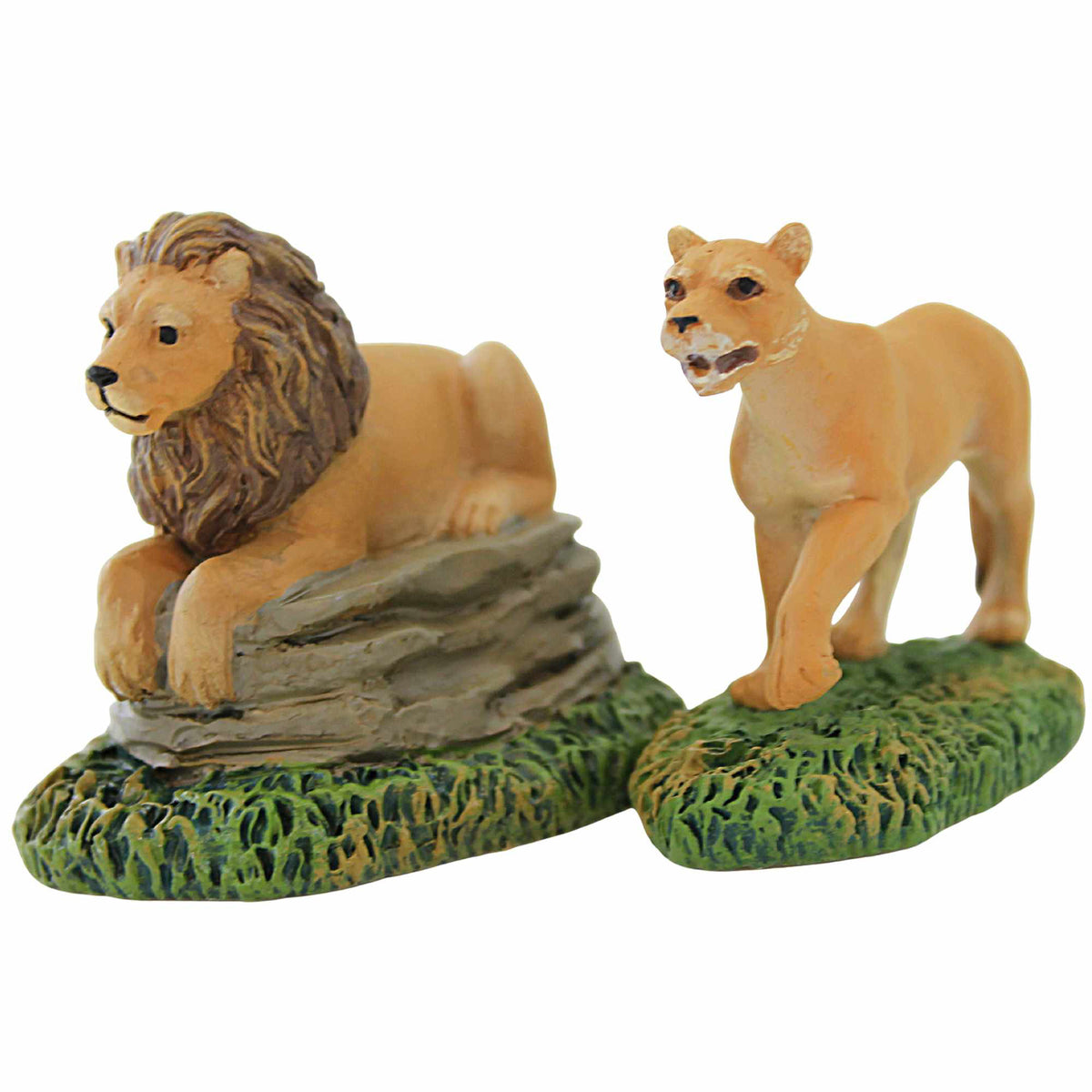 (59537) Zoological Garden's Lions