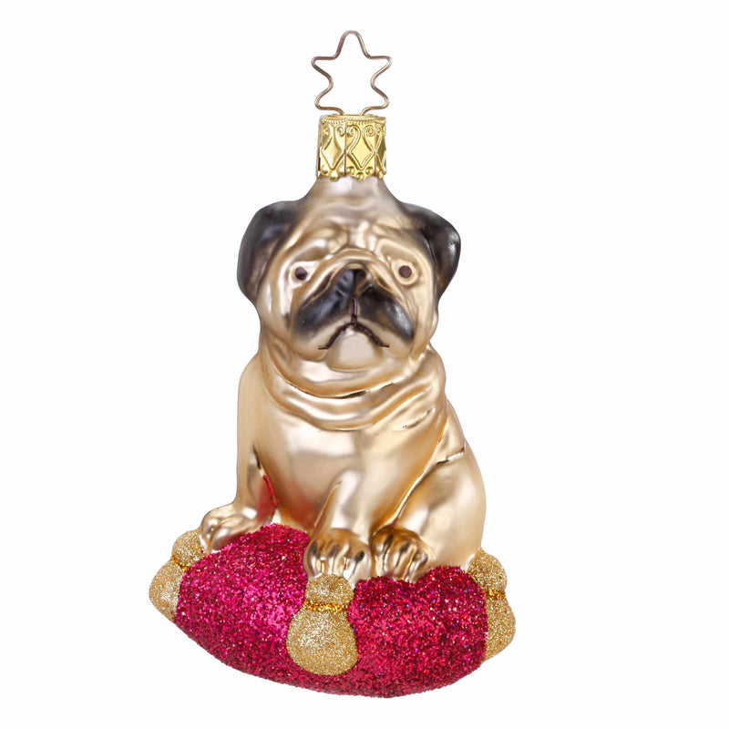 Inge Glas Pug - One Ornament 3.5 Inch, Glass - Christmas Ornament 10072S012 (60005)