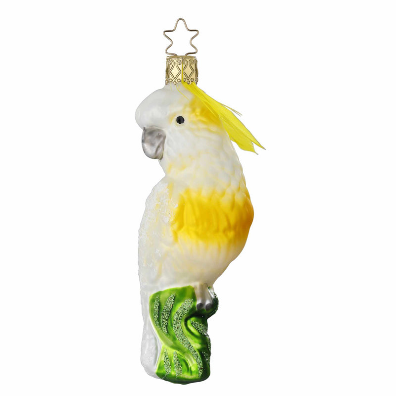 Inge Glas Cockatoo - One Ornament 4.75 Inch, Glass - Christmas Ornament Bird 10013S023 (60016)